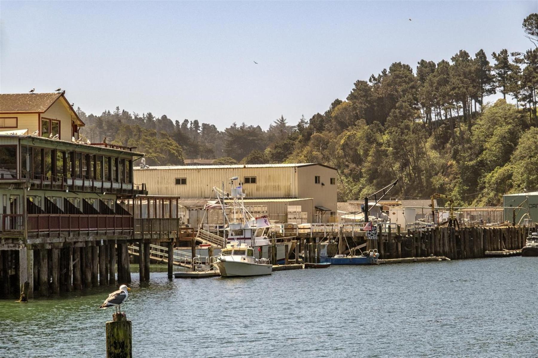 Driftwood Villa Fort Bragg Exterior photo